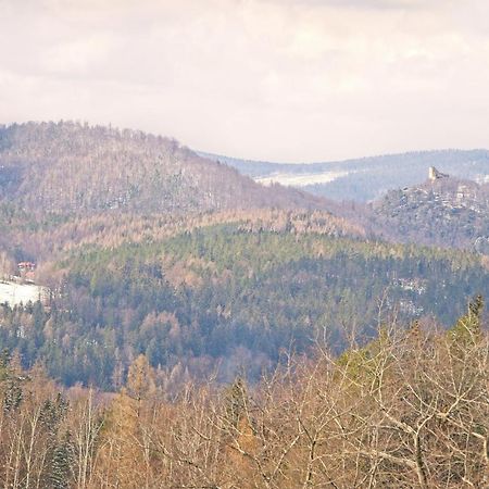 Вилла Willa "Sniezna Kopa"-Agroturystyka Pro Zdrowotna Соснувка Экстерьер фото